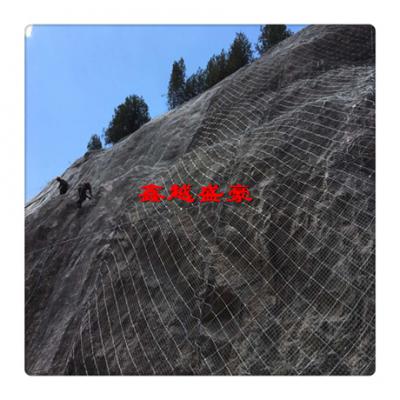 清原县阿勒泰边坡防护网施工案例